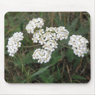 Weiße Wildblumen Mousepad