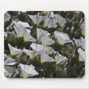 weiße Wildblumen Mousepad