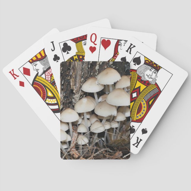 Weiße Wildpilze Spielkarten (Rückseite)