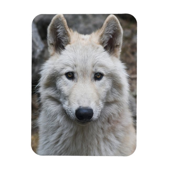 WEISSE WOLF FLEXIBLE MAGNET (Vertikal)