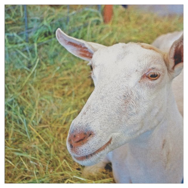 Weiße Ziege Stoff (Muster)