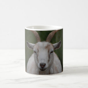 Weiße Ziegen-Tasse Kaffeetasse