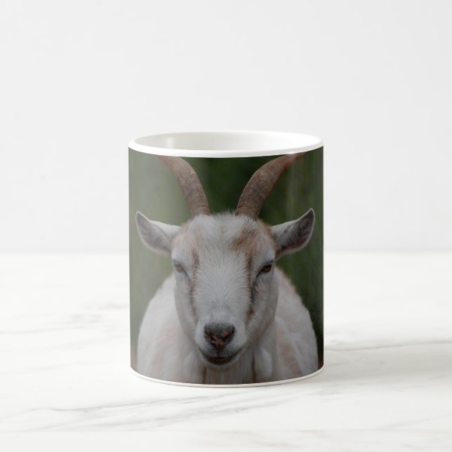 Weiße Ziegen-Tasse Kaffeetasse (Mittel)