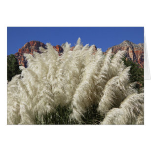 Weiße Zierpampas-Grass-Utah-Blankkarte