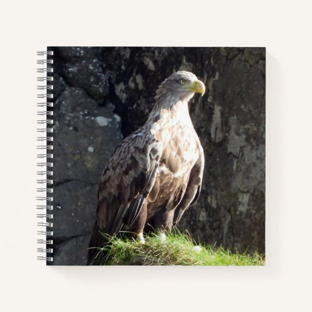 Weißer Adler Notizbuch (Vorderseite)