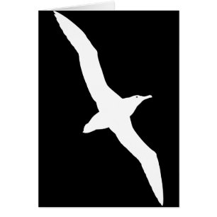 Weißer Albatros-Vogel im Flug