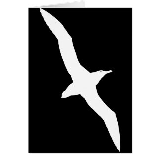 Weißer Albatros-Vogel im Flug