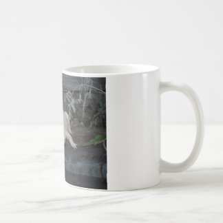 weißer Alligator Kaffeetasse