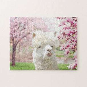 Weißer Alpaca