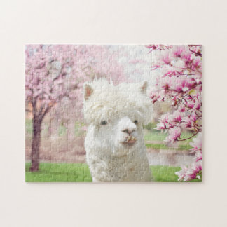 Weißer Alpaca