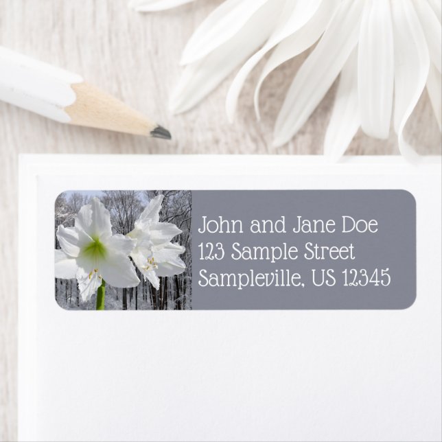 Weißer Amaryllis und Schnee I (Insitu)