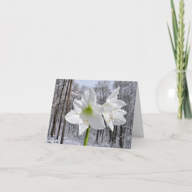 Weißer Amaryllis und Schnee I Feiertagskarte (Vorderseite)