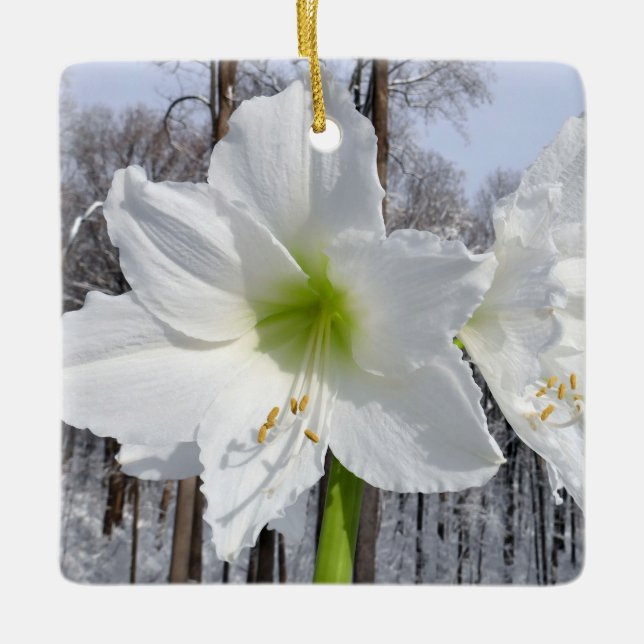 Weißer Amaryllis und Schnee II Keramikornament (Vorderseite)