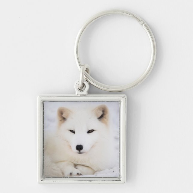 Weißer arktischer Polarfox im Schnee Schlüsselanhänger (Vorne)