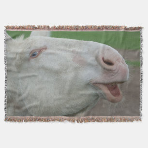 Weißer Barock-Donkey in Österreich-Ungarn Decke