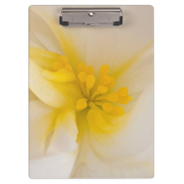 Weißer Begonia Klemmbrett