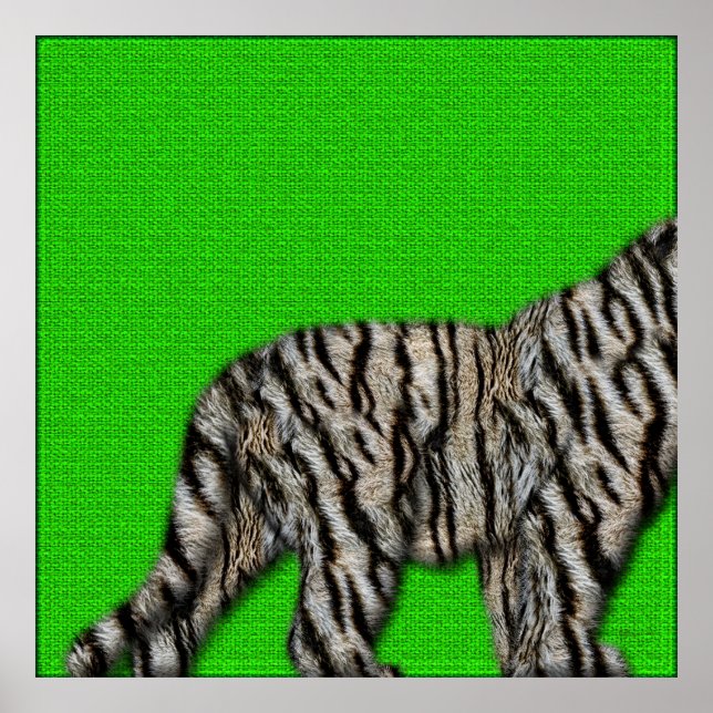 Weißer Bengalischer Tiger: Furche unten auf Grün Poster (Vorne)
