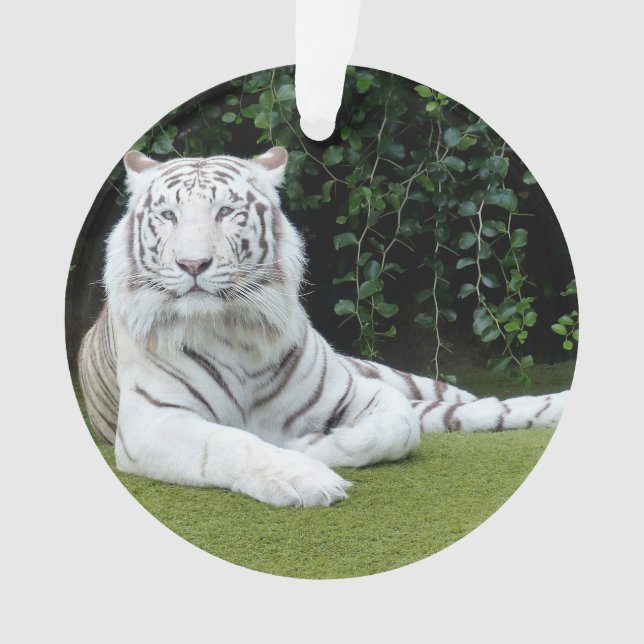 weißer bengalischer Tiger Ornament (Vorderseite)