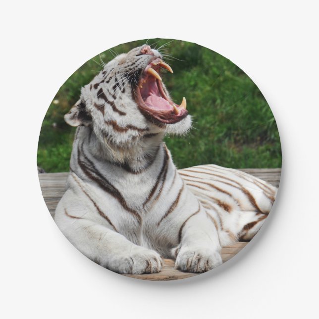 Weißer bengalischer Tiger-Papierplatte Pappteller (Vorderseite)