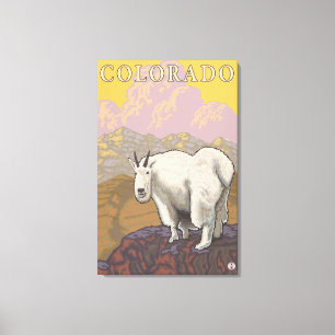 Weißer Berg GoatColorado Leinwanddruck