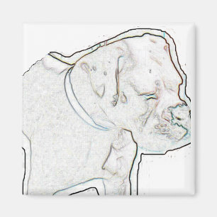 Weißer Boxer Magnet