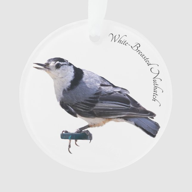 Weißer-Breasted Kleiber Ornament (Vorderseite)