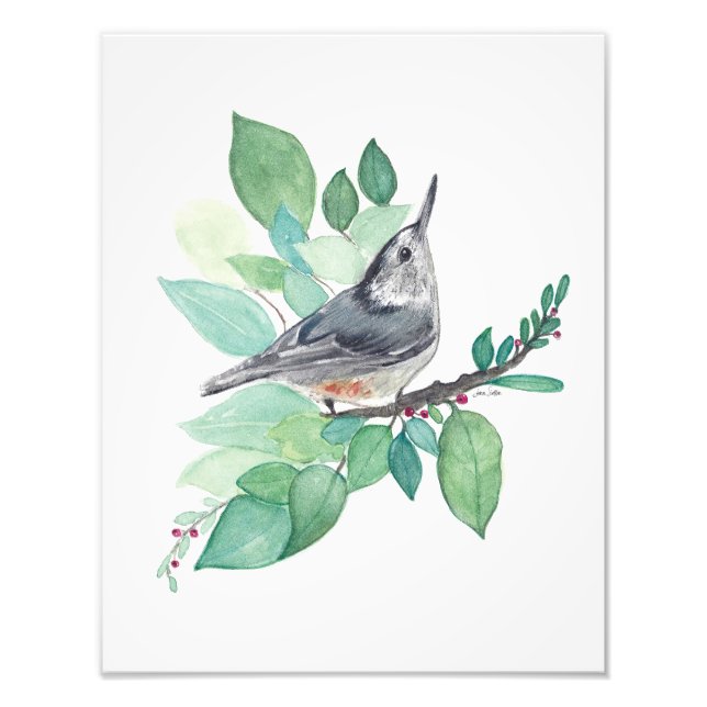 Weißer Brustvogel Fotodruck (Vorne)