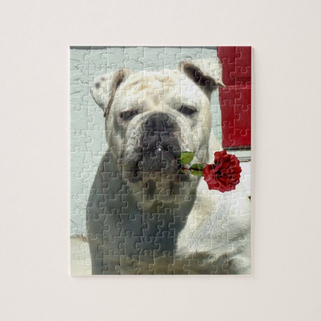 Weißer Bulldog mit Rose (Vertikal)