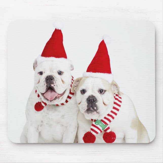 Weißer Bulldog Mousepad (Vorne)