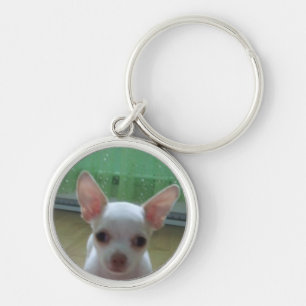 Weißer Chihuahua-Welpen-Schlüsselanhänger Schlüsselanhänger