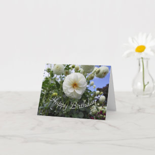 Weißer Dahlia Geburtstag Karte