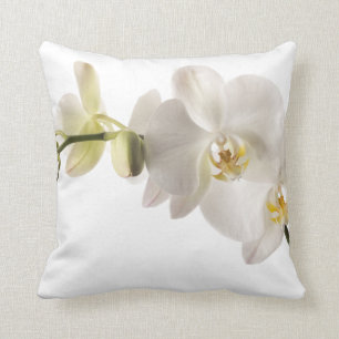 Weißer Dendrobium-Orchideen-Blumen-Spray mit Kissen