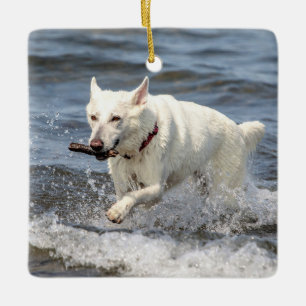 Weißer Deutscher Schäferhund am Lake George Keramikornament