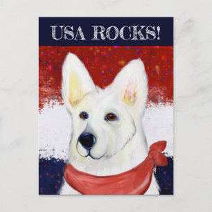  Weißer Deutscher Schäferhund   Postkarte