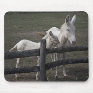 Weißer Donkey in Österreich-Ungarn Mousepad