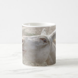 Weißer Donkey (Österreich-Ungarn) Kaffeetasse