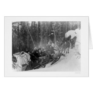 Weißer Durchlauf-Alaska-Schlitten-Zug 1903