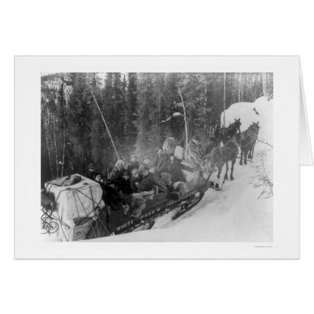 Weißer Durchlauf-Alaska-Schlitten-Zug 1903 (Vorderseite (Horizontal))