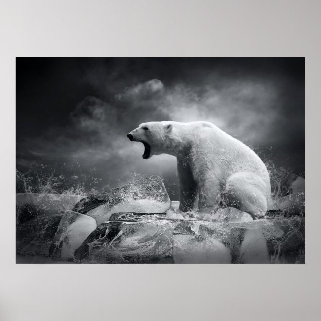 Weißer Eisbär auf Eis im Wasser Poster (Vorne)