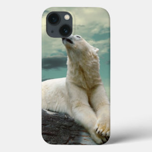 Weißer Eisbär-Jäger auf Felsen Case-Mate iPhone Hülle