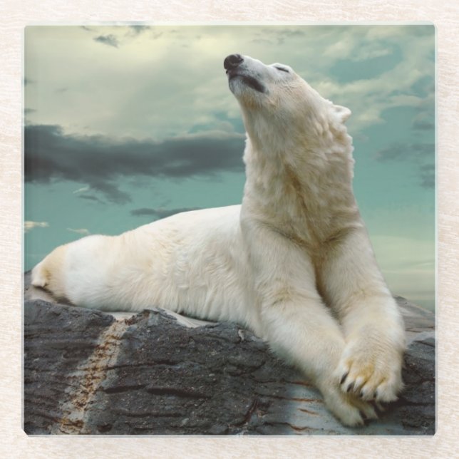 Weißer Eisbär-Jäger auf Felsen Glasuntersetzer (Vorderseite)