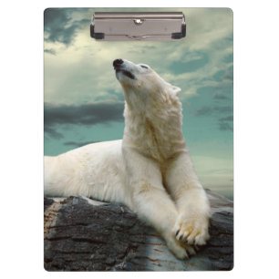 Weißer Eisbär-Jäger auf Felsen Klemmbrett