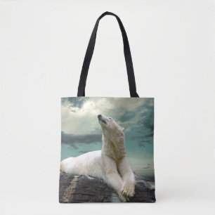 Weißer Eisbär-Jäger auf Felsen Tasche