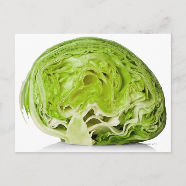 Weißer Eisbergsalat Postkarte (Vorderseite)