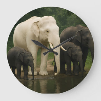 Weißer Elefant mit Familie Große Wanduhr