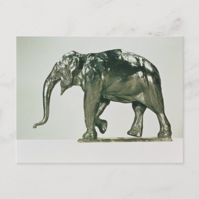 Weißer Elefant Postkarte (Vorderseite)