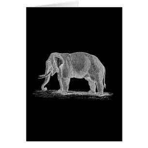 Weißer Elefant Vintage 1800s Illustration