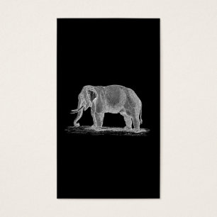 Weißer Elefant Vintage 1800s Illustration