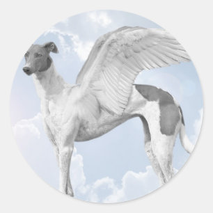 Weißer Engels-Windhund Runder Aufkleber