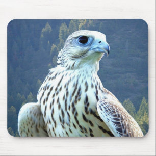 Weißer Falke Mousepad